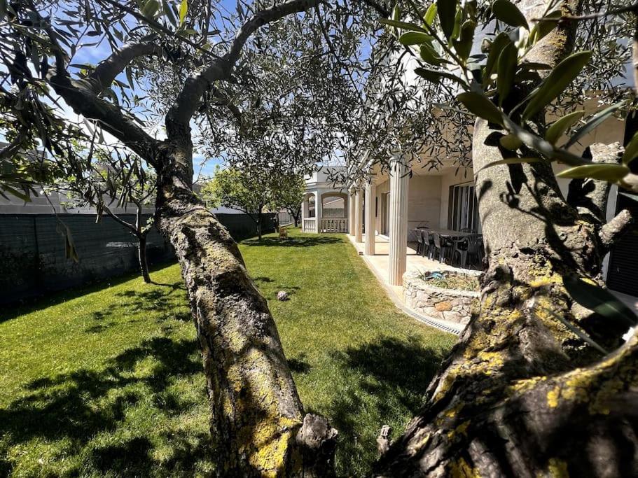 Saint-Laurent D'Aigouze : Appartement Avec Jardin Esterno foto